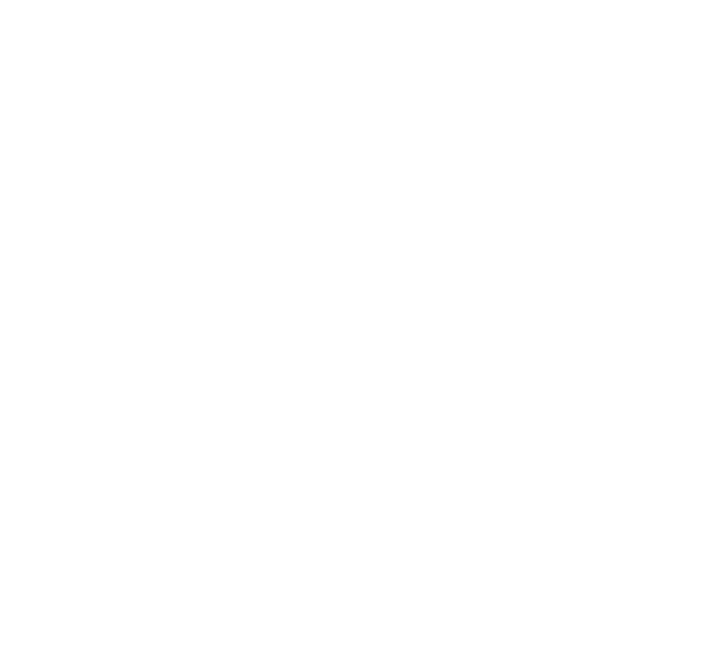 Logo Cheval de Cisse Blanc